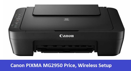 Canon PIXMA MG2950 Price, Wireless Setup