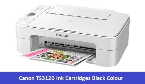 Canon TS3120 Ink Cartridges Black Colour